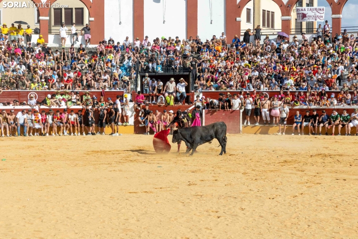 Viernes de Toros 2026: Novillada de tarde./ Viksar Fotografía