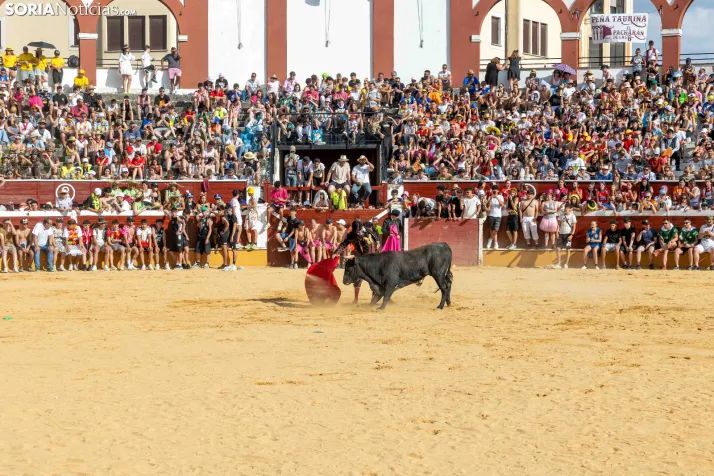 Viernes de Toros 2026: Novillada de tarde./ Viksar Fotografía