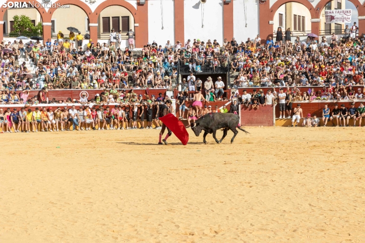 Viernes de Toros 2026: Novillada de tarde./ Viksar Fotografía