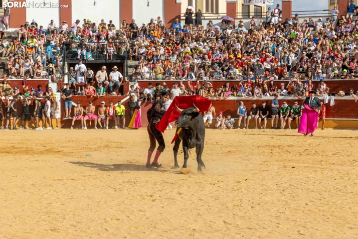 Viernes de Toros 2026: Novillada de tarde./ Viksar Fotografía