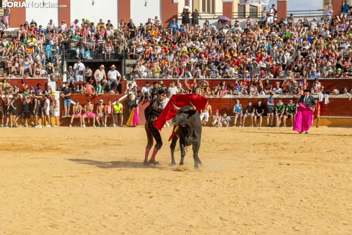 Viernes de Toros 2026: Novillada de tarde./ Viksar Fotografía