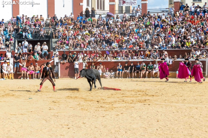 Viernes de Toros 2026: Novillada de tarde./ Viksar Fotografía
