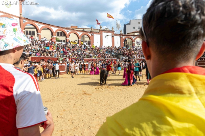 Viernes de Toros 2026: Novillada de tarde./ Viksar Fotografía
