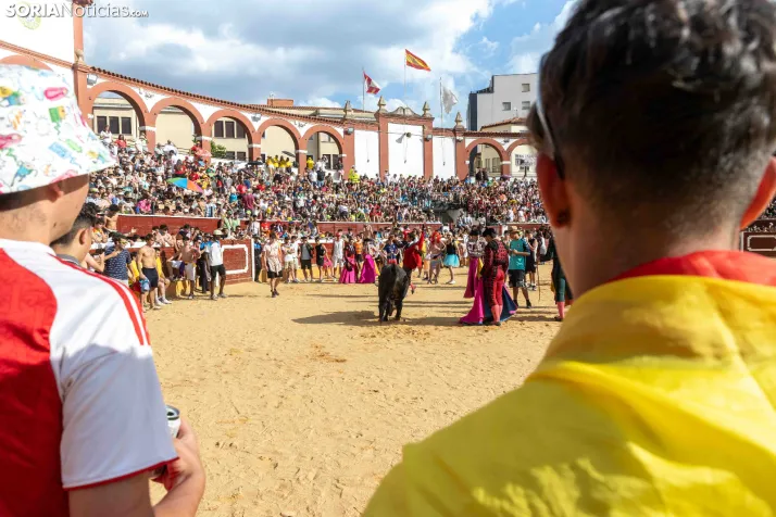 Viernes de Toros 2026: Novillada de tarde./ Viksar Fotografía