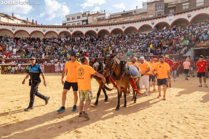Viernes de Toros 2026: Novillada de tarde./ Viksar Fotografía