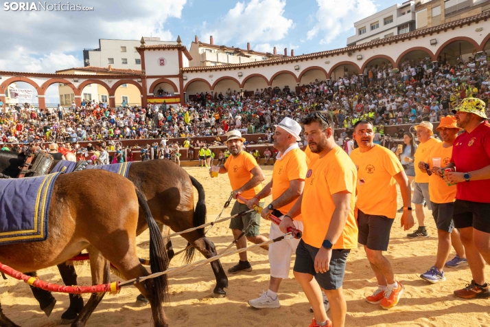Viernes de Toros 2026: Novillada de tarde./ Viksar Fotografía