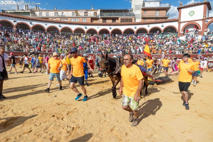 Viernes de Toros 2026: Novillada de tarde./ Viksar Fotografía