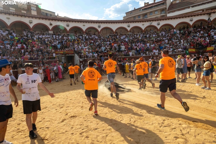 Viernes de Toros 2026: Novillada de tarde./ Viksar Fotografía