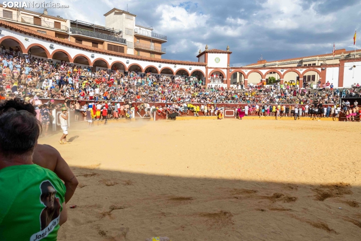 Viernes de Toros 2026: Novillada de tarde./ Viksar Fotografía
