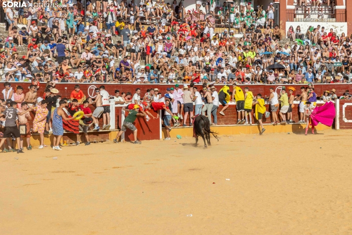Viernes de Toros 2026: Novillada de tarde./ Viksar Fotografía