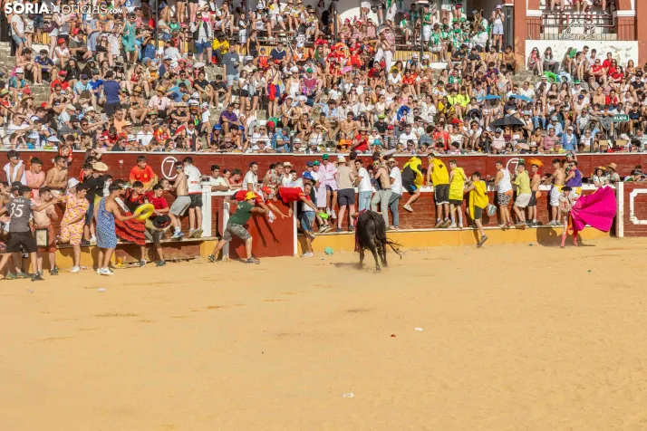 Viernes de Toros 2026: Novillada de tarde./ Viksar Fotografía