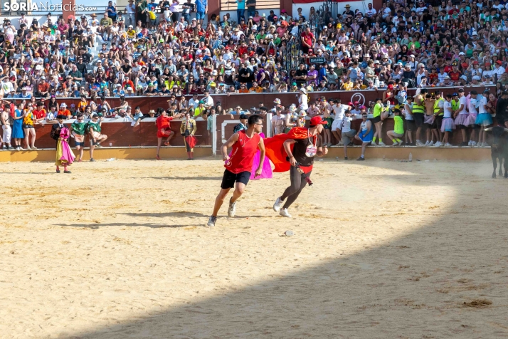 Viernes de Toros 2026: Novillada de tarde./ Viksar Fotografía