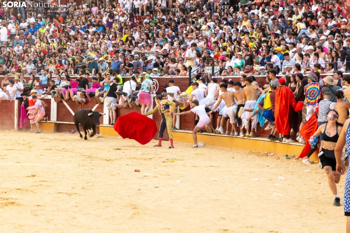 Viernes de Toros 2026: Novillada de tarde./ Viksar Fotografía