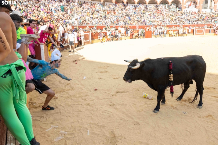Viernes de Toros 2026: Novillada de tarde./ Viksar Fotografía