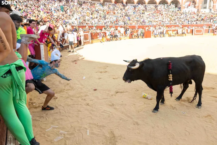 Viernes de Toros 2026: Novillada de tarde./ Viksar Fotografía