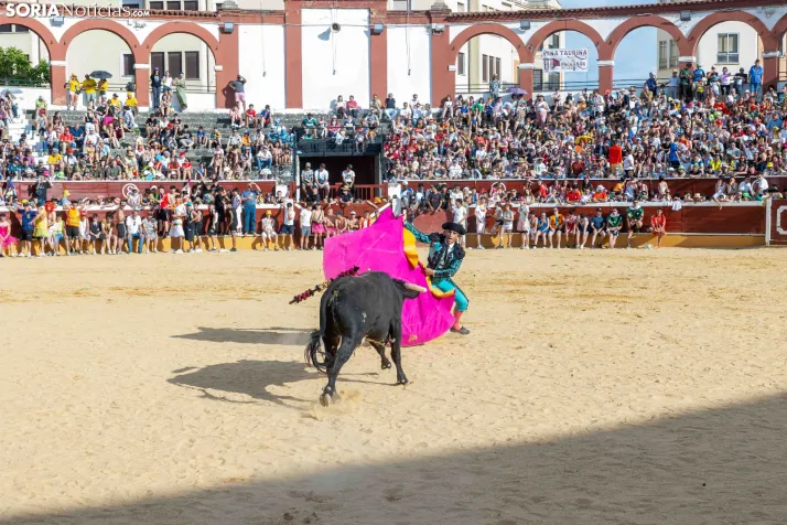 Viernes de Toros 2026: Novillada de tarde./ Viksar Fotografía
