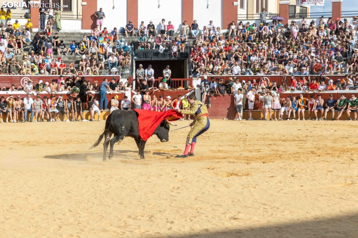 Viernes de Toros 2026: Novillada de tarde./ Viksar Fotografía