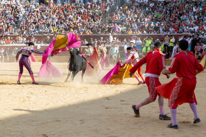 Viernes de Toros 2026: Novillada de tarde./ Viksar Fotografía
