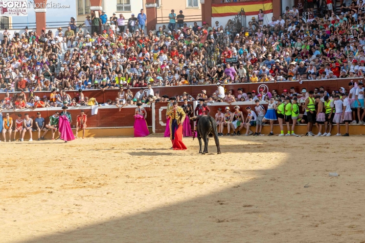 Viernes de Toros 2026: Novillada de tarde./ Viksar Fotografía