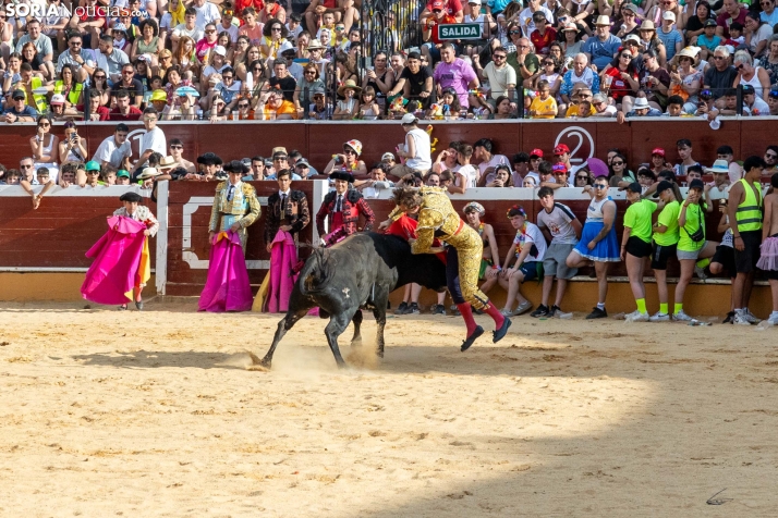 Viernes de Toros 2026: Novillada de tarde./ Viksar Fotografía