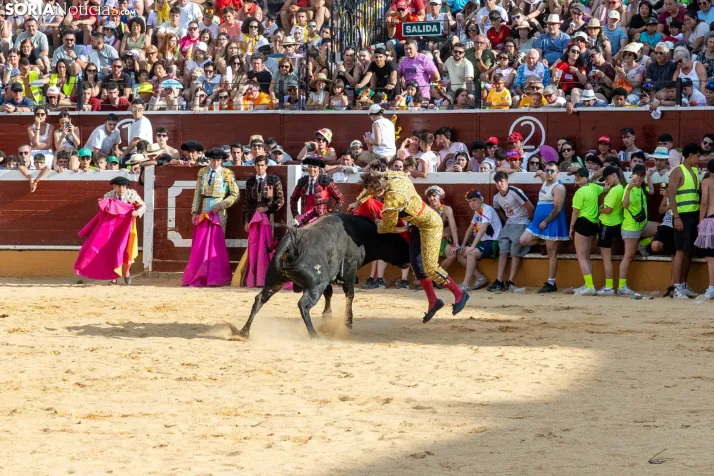 Viernes de Toros 2026: Novillada de tarde./ Viksar Fotografía