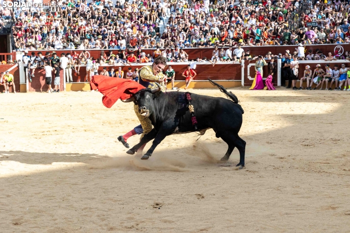 Viernes de Toros 2026: Novillada de tarde./ Viksar Fotografía