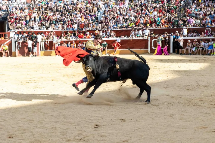 Viernes de Toros 2026: Novillada de tarde./ Viksar Fotografía