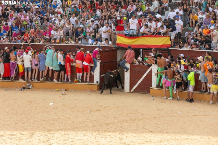 Viernes de Toros 2026: Novillada de tarde./ Viksar Fotografía