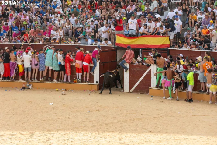 Viernes de Toros 2026: Novillada de tarde./ Viksar Fotografía