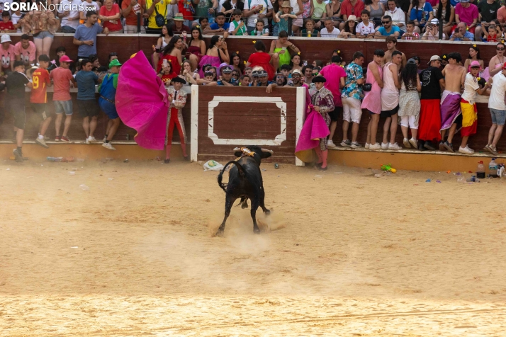 Viernes de Toros 2026: Novillada de tarde./ Viksar Fotografía