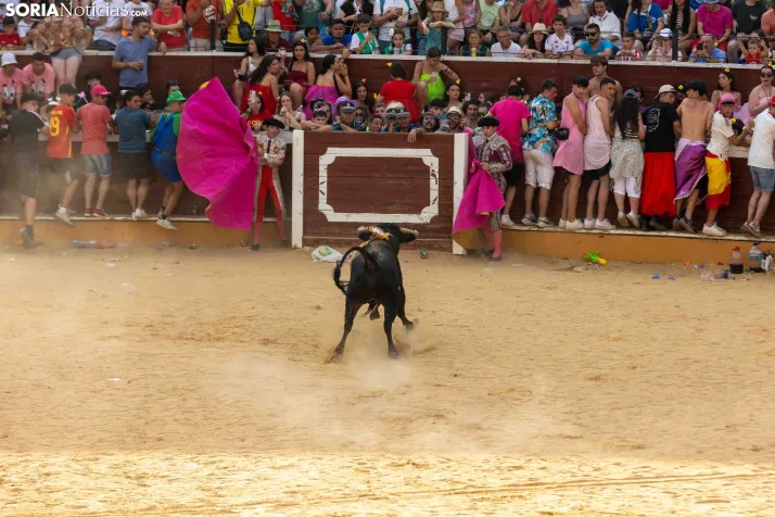 Viernes de Toros 2026: Novillada de tarde./ Viksar Fotografía