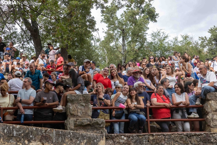 La Compra 2026./ Viksar Fotografía