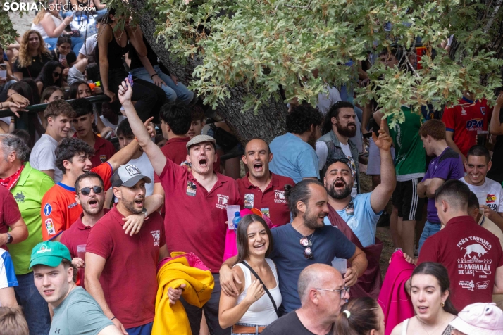 La Compra 2026./ Viksar Fotografía
