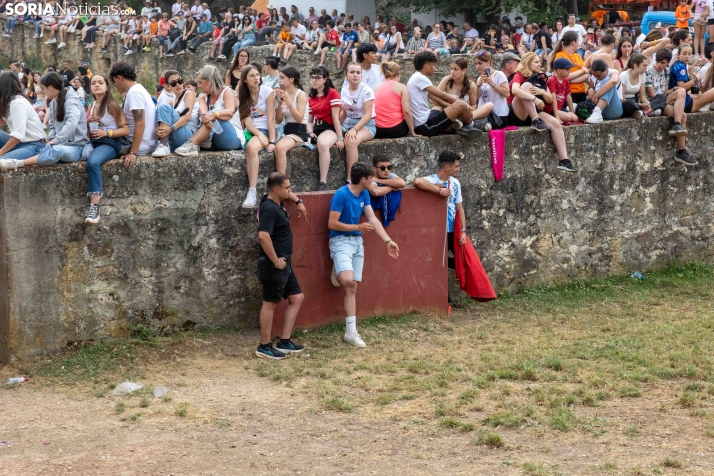 La Compra 2026./ Viksar Fotografía