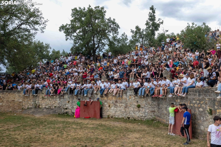 La Compra 2026./ Viksar Fotografía