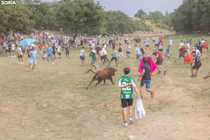 La Compra 2026./ Viksar Fotografía