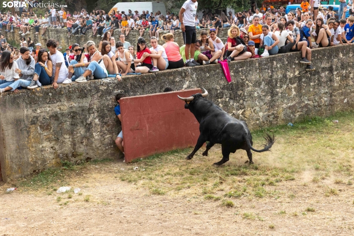 La Compra 2026./ Viksar Fotografía