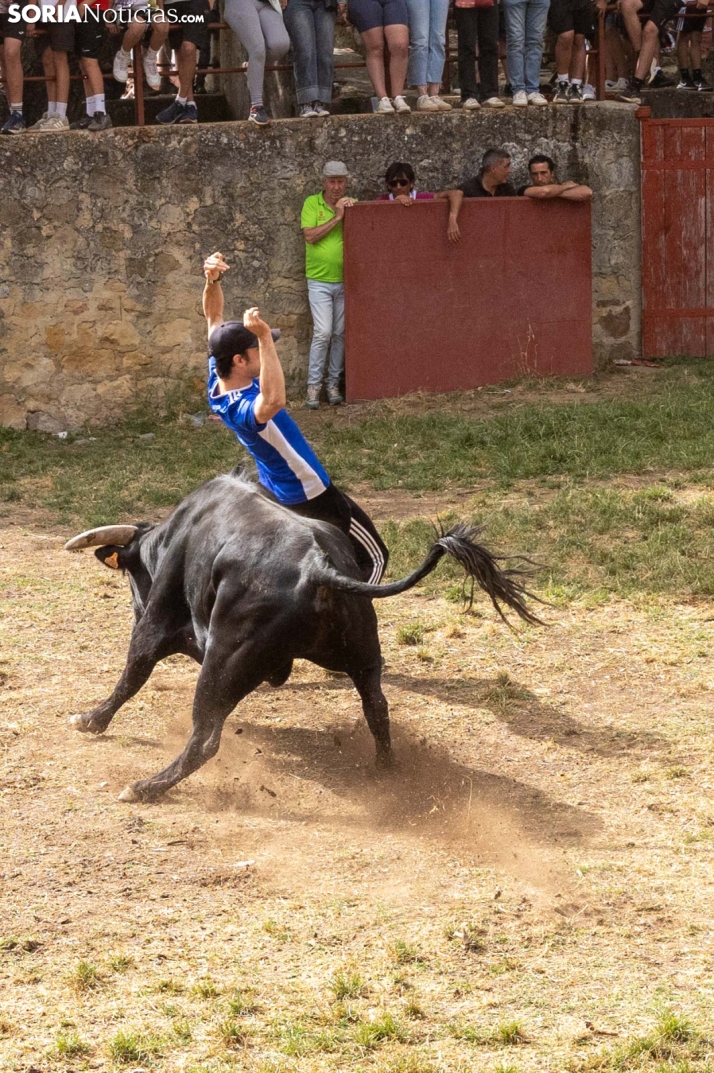 La Compra 2026./ Viksar Fotografía