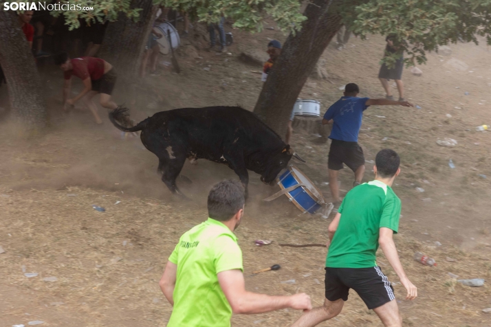 La Compra 2026./ Viksar Fotografía