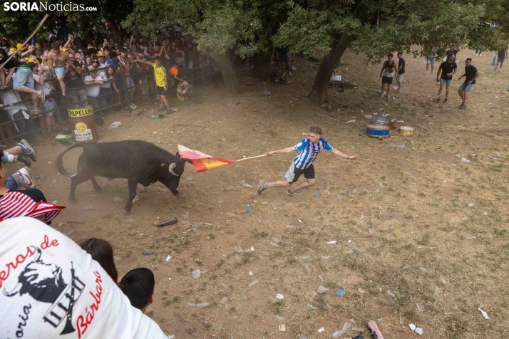 La Compra 2026./ Viksar Fotografía