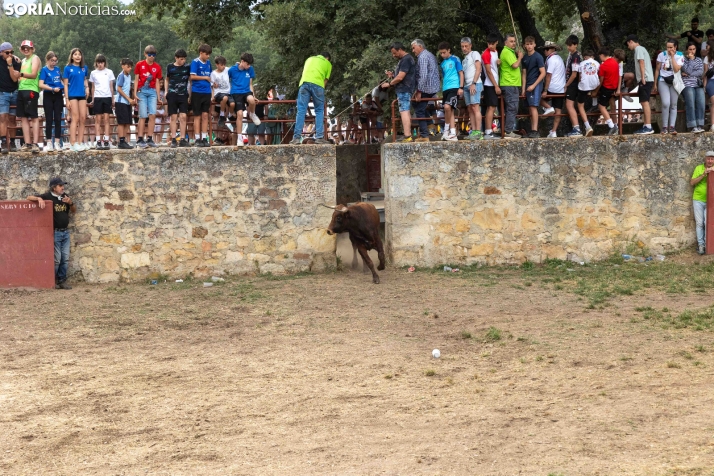 La Compra 2026./ Viksar Fotografía