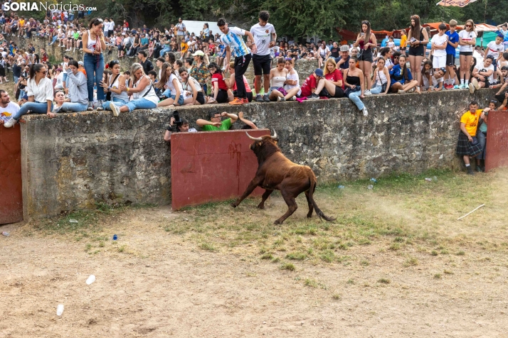 La Compra 2026./ Viksar Fotografía