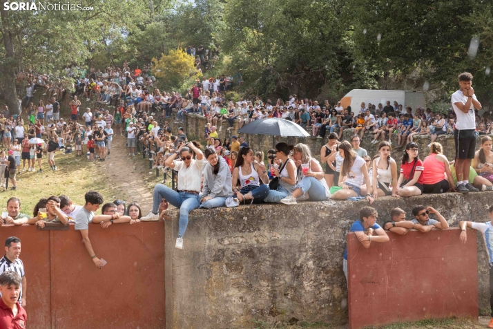 La Compra 2026./ Viksar Fotografía