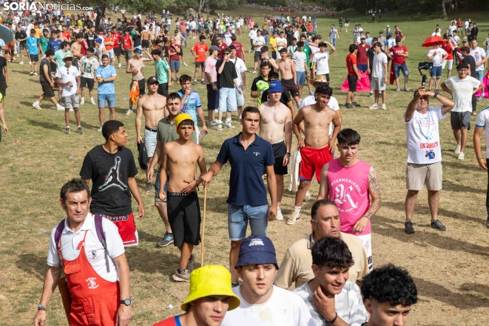 La Compra 2026./ Viksar Fotografía