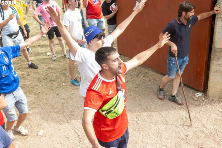 La Compra 2026./ Viksar Fotografía