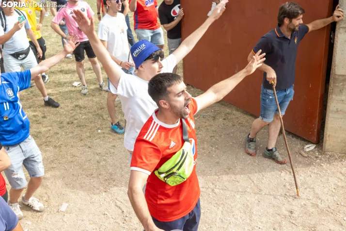 La Compra 2026./ Viksar Fotografía