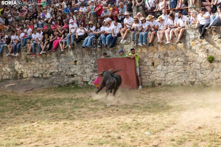 La Compra 2026./ Viksar Fotografía