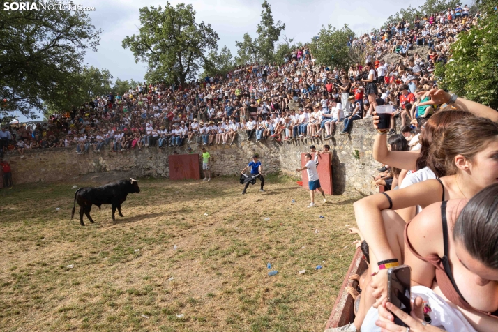La Compra 2026./ Viksar Fotografía