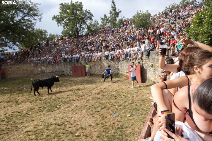La Compra 2026./ Viksar Fotografía