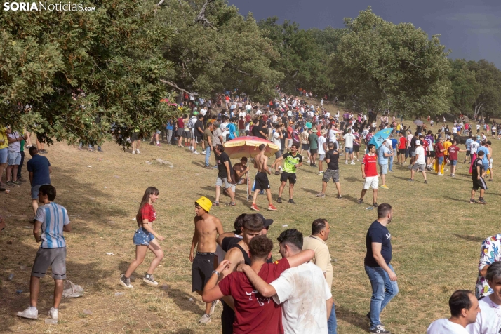 La Compra 2026./ Viksar Fotografía